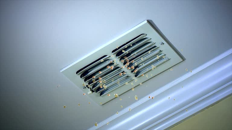 Best Best Air Duct Cleaning Company  in Sneedville, TN